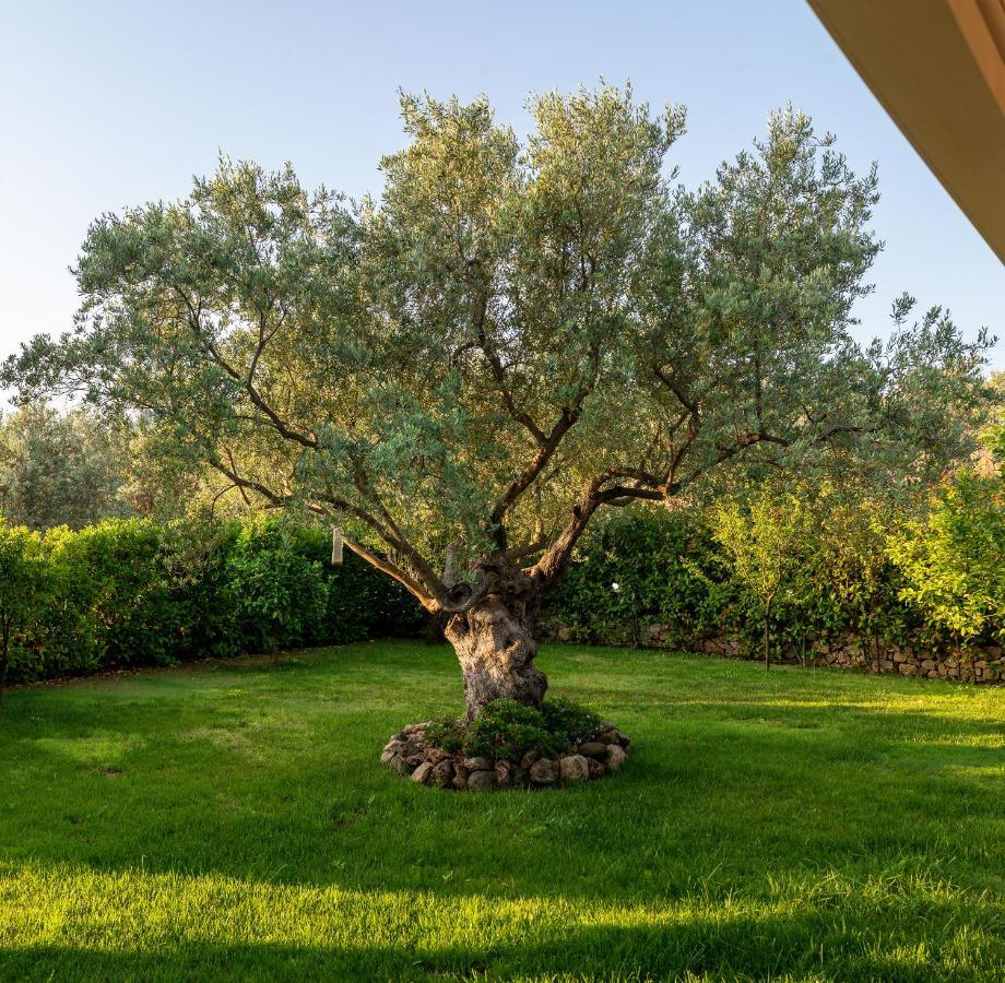 Tirós Nikole'S Villas Luxury 180M2 מראה חיצוני תמונה